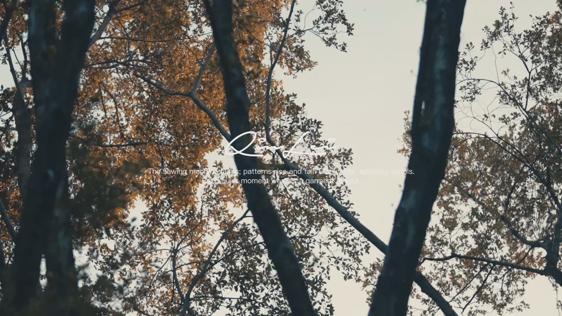 Load video: 